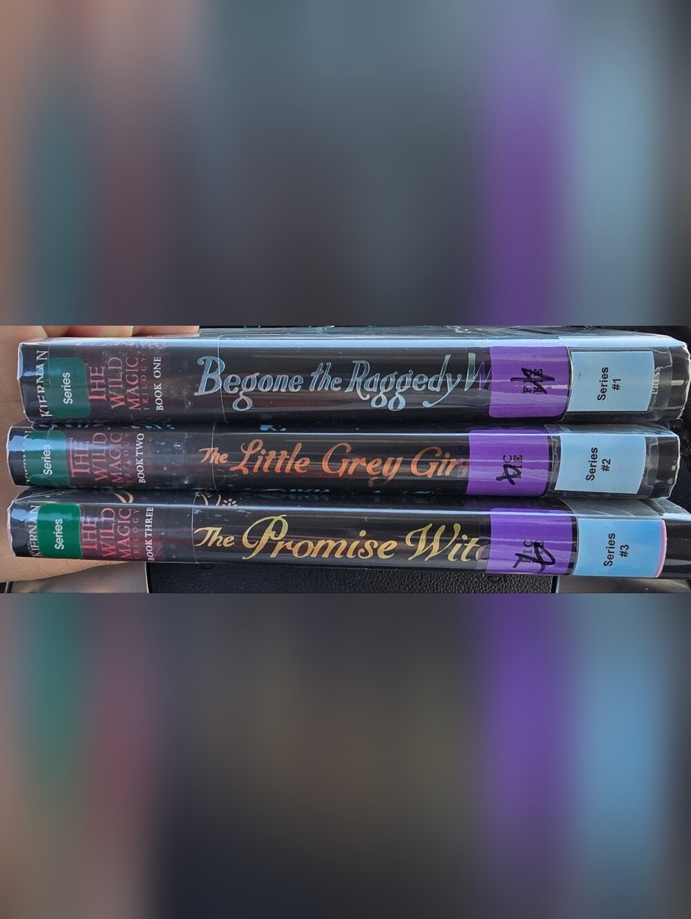 Celine Kiernan Wild Magic Trilogy Hardcover Book Bundle Ex Library